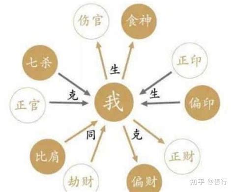 十神关系|: 八字十神解析：命局详解与对应关系